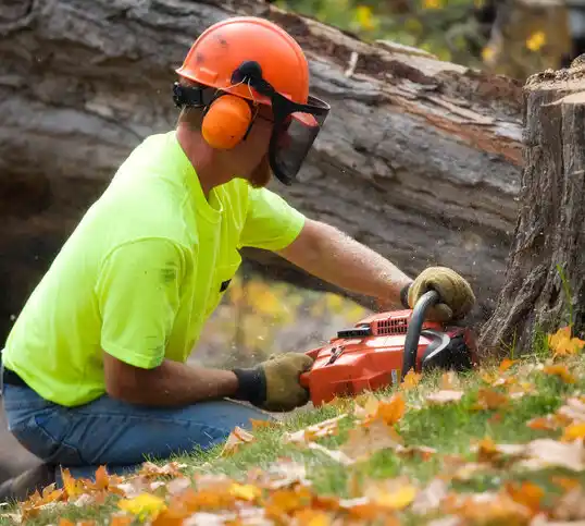 tree services North Platte